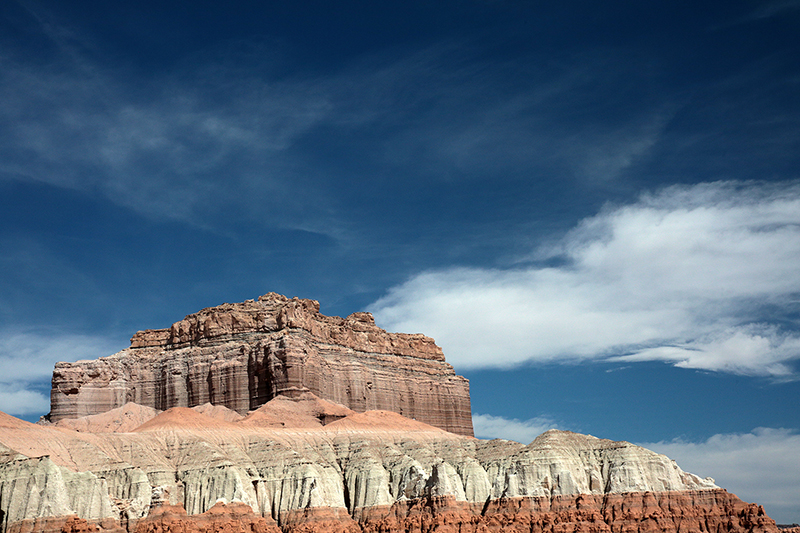 Bison : Antelope Island : Utah : Landscape Photos : Richard Moore : Photographer